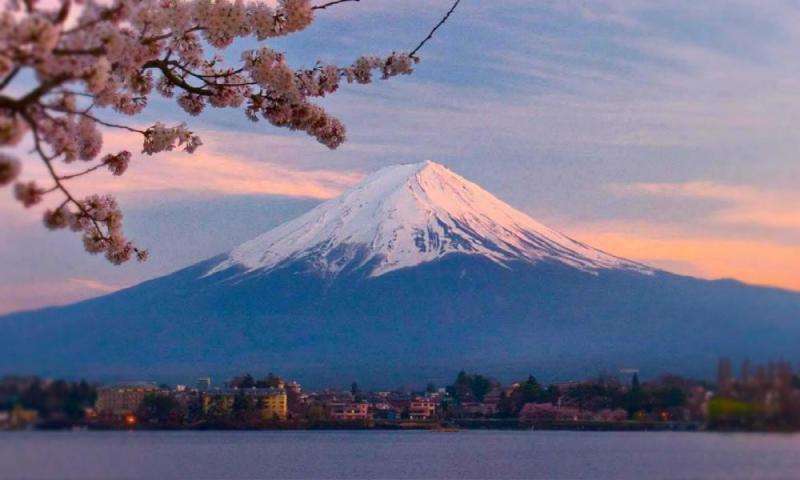 日本移民中介 日本移民中介